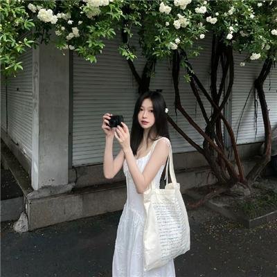 美国派:高潮再起